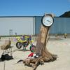 DSCN2278.JPG